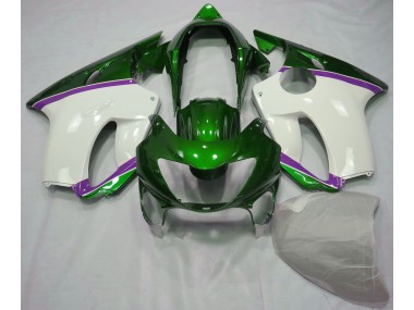 Aftermarket 1999-2000 Lizard Green and Purple Honda CBR600 F4 Motorcycle Fairings